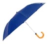 Promotional RPET umbrella variant 2