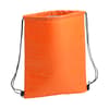Custom Branded Cooler bag variant 2
