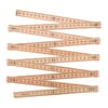 Promotional Folding ruler variant 2