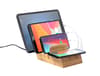 Branded USB charging station variant 4