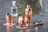 Promotional Cocktail shaker variant 3