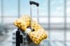 Custom travel pillow variant 5