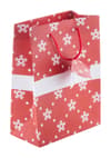 Custom Branded Christmas gift bag, small variant 2