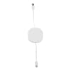 Branded 60W RABS USB-C charger cable variant 2