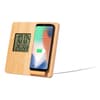 Branded Charger weather station variant 3