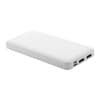 Branded RABS power bank variant 2