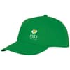 Fern green