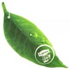 Promotional Air Freshener variant 7