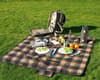 Custom Branded Picnic Bag variant 5