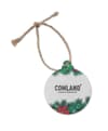 Promotional Seed Paper Xmas Ornament variant 4