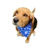 Custom Branded Dog Bandana variant 4