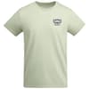 Mist Green
