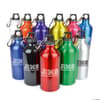 Custom Printed Pollock Glossy 550ml Sports Bottle variant 2