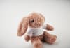 Custom Branded Bunny Plush Wearing A Hoodie variant 8