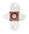 Promotional House Shaped Seeds Grow Set variant 3