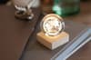 Custom Printed Led Globe Glass Ball variant 5