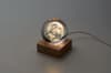 Custom Printed Led Globe Glass Ball variant 9