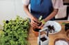Branded Indoor Garden With Led Light variant 2