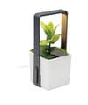 Branded Indoor Garden With Led Light variant 9