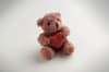 Promotional Teddy Bear Plush With Heart variant 4