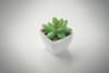 Promotional Mini Artificial Plant variant 5