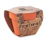 Promotional Terracotta Pot 'forget Me Not' variant 4