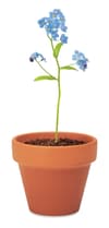 Promotional Terracotta Pot 'forget Me Not' variant 5