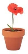 Promotional Terracotta Pot 'poppy' variant 4