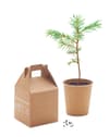 Promotional Pine Tree Set variant 3