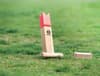 Promotional Pinewood Outdoor Throwing Game variant 4