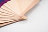 Branded Rainbow Wooden Hand Fan variant 5