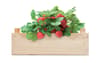 Promotional Strawberry Kit In Wooden Crate variant 4