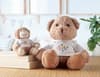 Promotional Teddy Bear Plush variant 5