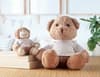 Promotional Teddy Bear Plush variant 6