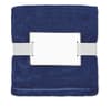 Promotional Rpet Fleece Blanket 280 Gr/m² variant 2