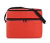Custom Branded Cooler Bag With 2 Compartments variant 2