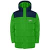 Fern green