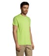 Custom Branded Regent Uni T-shirt 150g variant 3