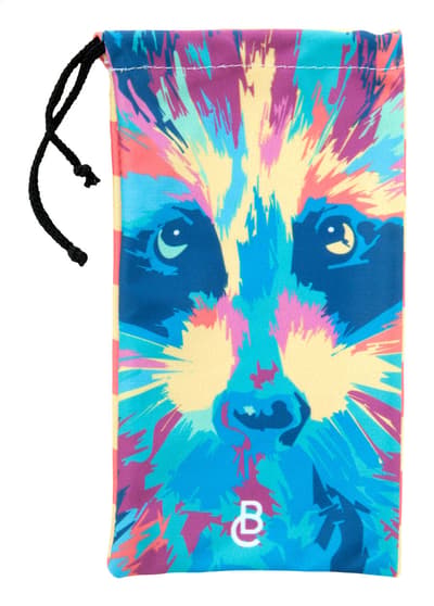 Sunglasses case