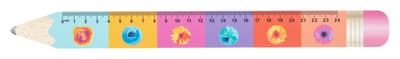 24 cm ruler, pencil