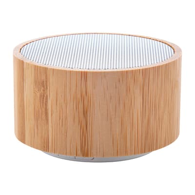 Wireless speaker