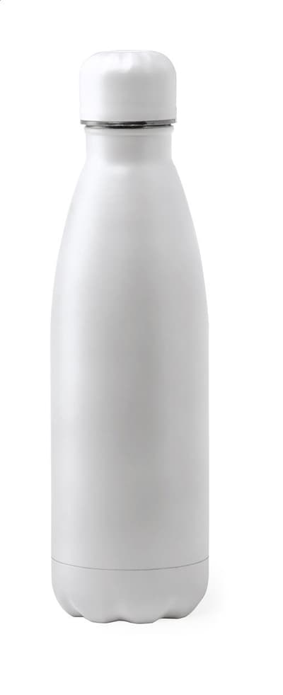 Stainless steel bottle