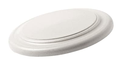 Frisbee