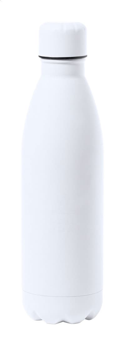Stainless steel bottle