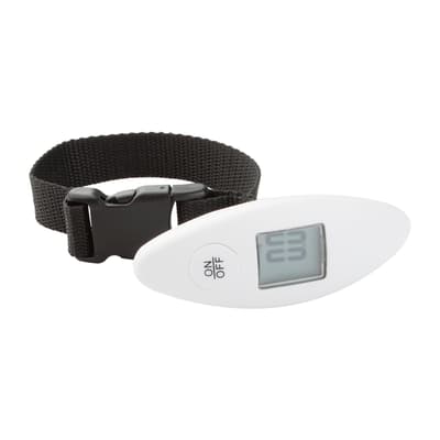 Luggage scale