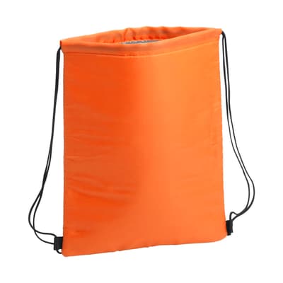 Cooler bag