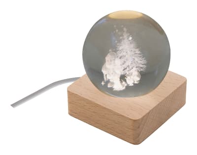 Christmas light globe