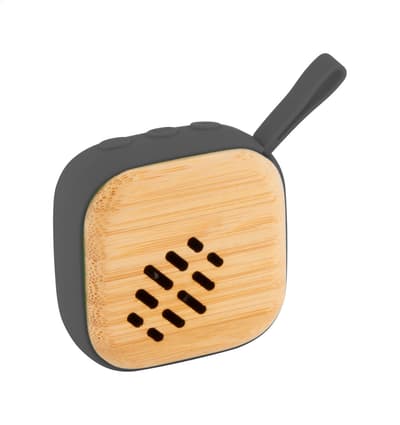 Wireless speaker