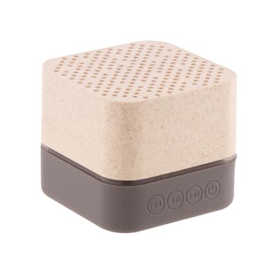 Wireless speaker
