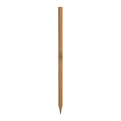 Bamboo pencil